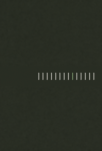 The First Fourteen Nights — cover